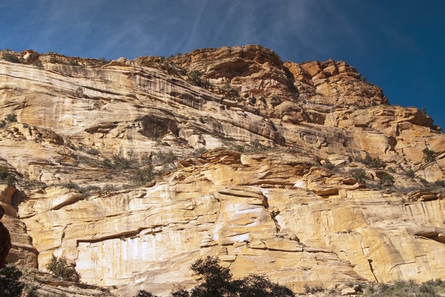 raboy_20101029_Arizona_0711.sized