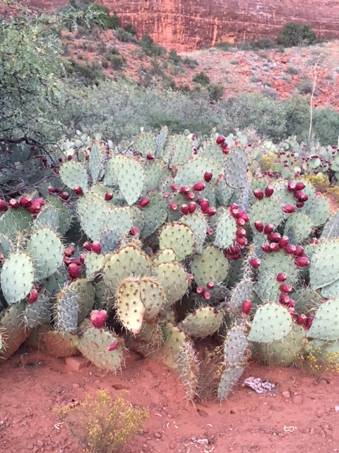 Sedona_IMG_0351_Medium_093017