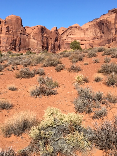 Monument_Valley_IMG_Side_Canyon_110818