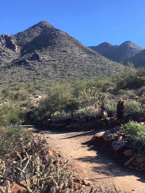 Sonora_Preserve_Dec_2018_Img_2_Med