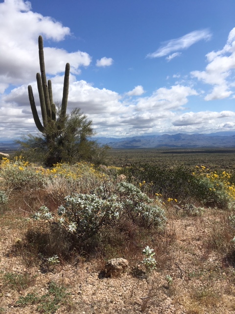 Marcus_Landslide_Img_1_041220